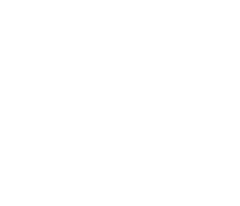 Trinity Trails Logo White