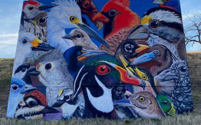 Painting the River: Nolan Mueller